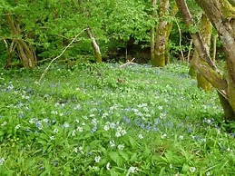 Hendre Aled Cottage 3