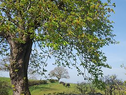Bridleway Cottage