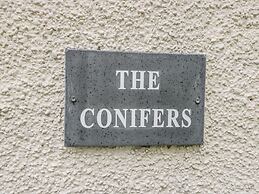 The Conifers