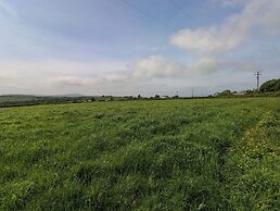 The Dairy