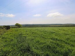 The Dairy