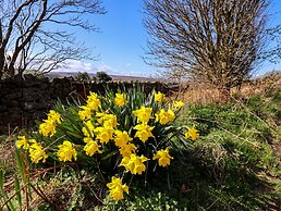 Daffodil Cottage