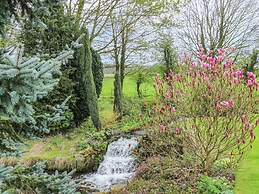 Pond View