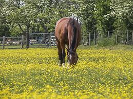 Daisy's Holiday Cottage