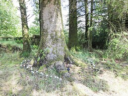 Corrafeckloch Forest Cottages