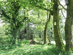 Corrafeckloch Forest Cottages