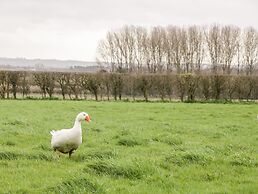 The Old Goat Barn at Trout Cottage