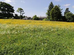 Buttercup Cottage