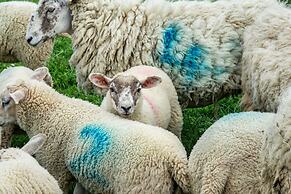 Street House Farm Cottage