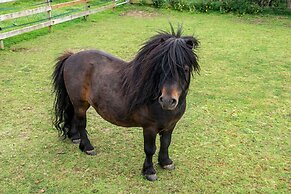 Street House Farm Cottage