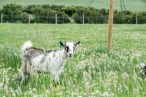 Street House Farm Cottage