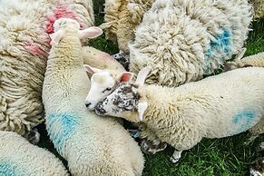 Street House Farm Cottage