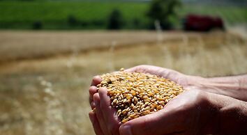 Agriturimo Essentia Dimora Rurale