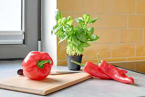 Old Town - OldNova by Welcome Apartment