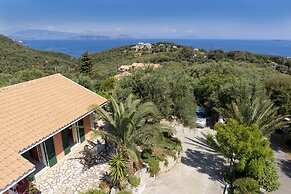 Ipsos Panoramic Views By Konnect