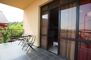 Amosov's House Hotel