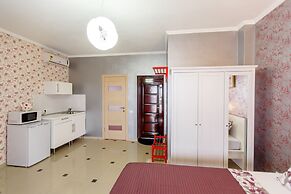 Amosov's House Hotel