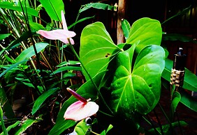 Punta Duarte Garden Inn