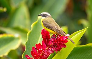 Morada BemTeVi - Hostel