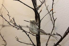 STF Östersund Ledkrysset vandrarhem - Hostel