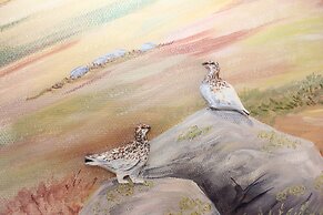 STF Östersund Ledkrysset vandrarhem - Hostel