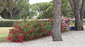 Chambres d'hôtes Villa Alizé