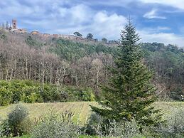La Torre wine resort
