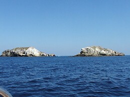 Hotel Eunymos - Trattoria Da Francesco Panarea