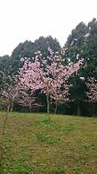 Sakura Villa