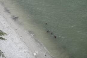 Lovers Key Beach Club by Lovers Key Vacations