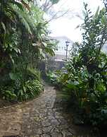 Corazón de Niebla