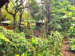 The Maya Mountain Lodge