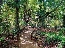 The Maya Mountain Lodge