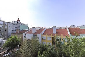 Red Almirante by Homing