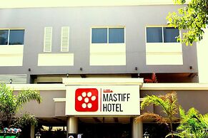 Little Mastiff Chinchwad