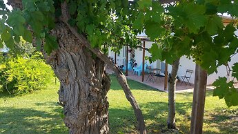 Il Giardino fra gli Ulivi