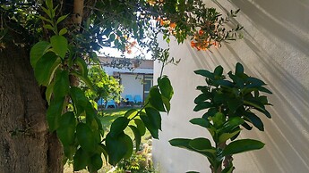 Il Giardino fra gli Ulivi