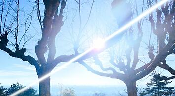 VILLA CASTEL Maison d'hôtes & Jardin de Cuisine Vivante