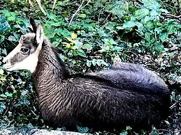 VILLA CASTEL Maison d'hôtes & Jardin de Cuisine Vivante