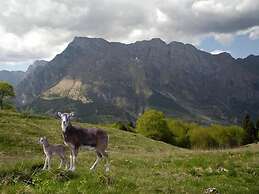 Affittacamere Nonna Leni