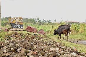 Red Rocks Campsite & Guesthouse