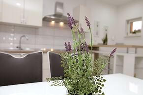 Apartments Viki