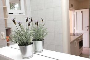 Apartments Viki