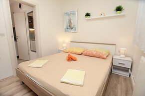 Apartments Viki