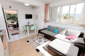 Apartments Viki
