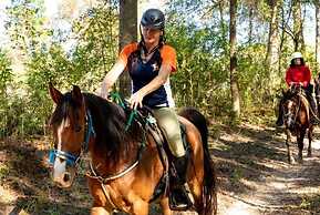 Staybridge Suites IAH Airport East by IHG