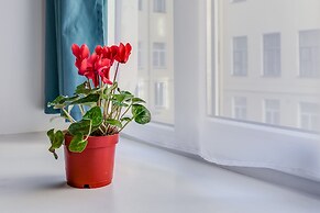 Sokroma Jules Verne Aparts