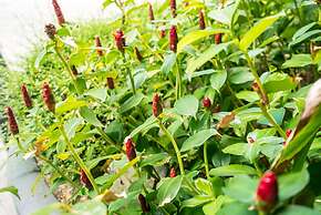 Emerald Terrace by Lofty