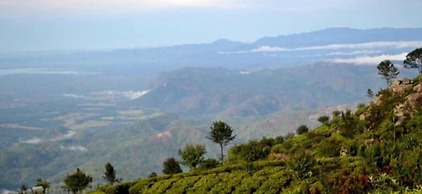 Highcliffe Guesthouse