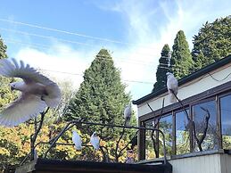 Clarendon Motel and Guesthouse